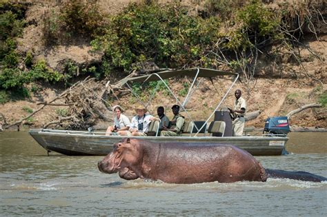 Zambia Safari | Safari Tours With Gamewatchers Safaris