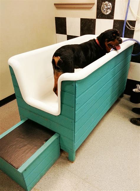 The Best Diy Dog Bathing - Home, Family, Style and Art Ideas