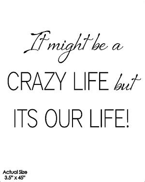 S Crazy Life Quotes. QuotesGram