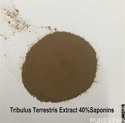 Tribulus Terrestris Extract