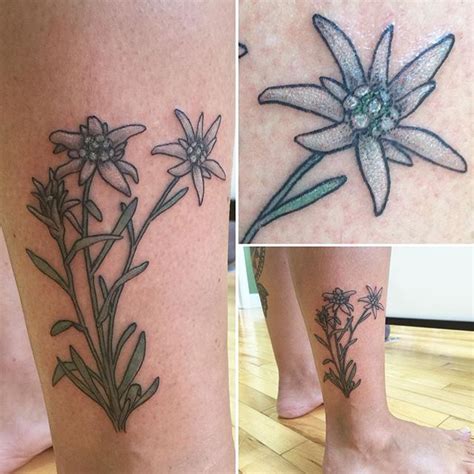 Edelweiss for Lisa Thank you, Lisa! @zeninkasheville @ashevilletattoos ...