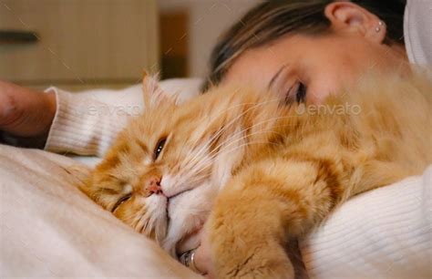 A ginger cat and a woman sleeping Stock Photo by catsofnishava | PhotoDune