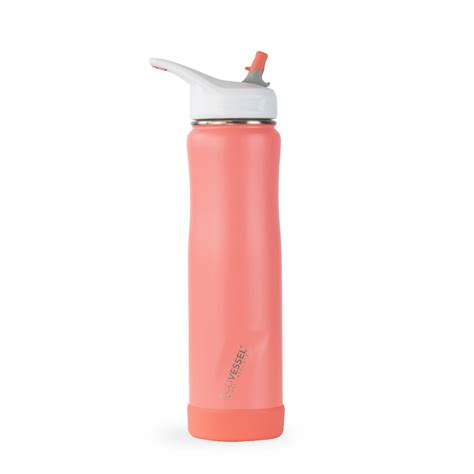 Insulated Straw Water Bottle - Reusable Stainless Steel Bottle with ...