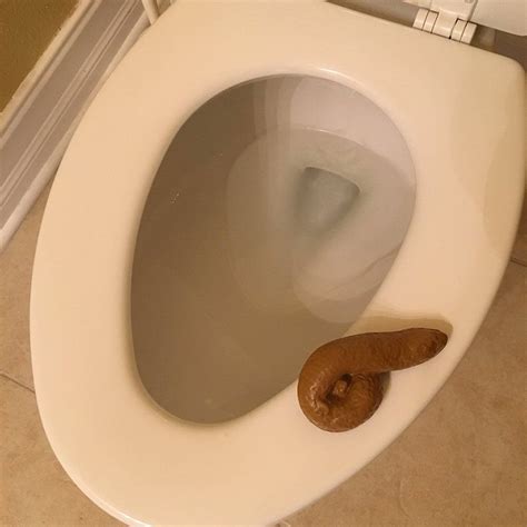 FAKE TOILET POOPER SEAT TURD CRAP POO Joke Prank POOP Gag Dog Human ...