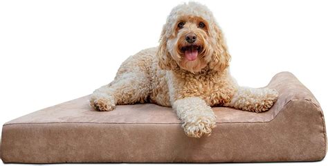 What is an orthopedic dog bed & Why dog need orthopedic bed