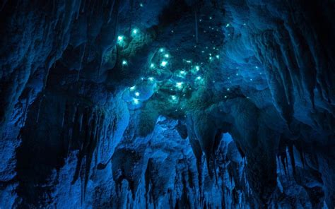 Bioluminescent glow worms turn 30-million-year-old caves into alien ...