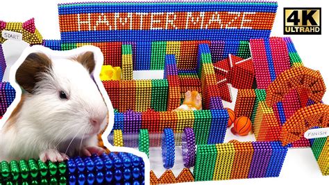 How to Build Creative Labyrinth for Hamster With Magnetic Balls ...