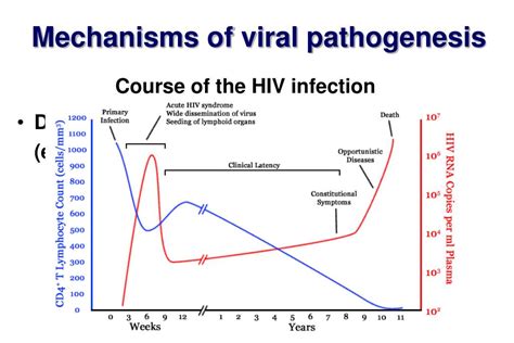 PPT - Viral Pathogenesis PowerPoint Presentation, free download - ID ...