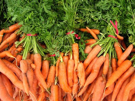 Farmers Market - Carrots Free Photo Download | FreeImages