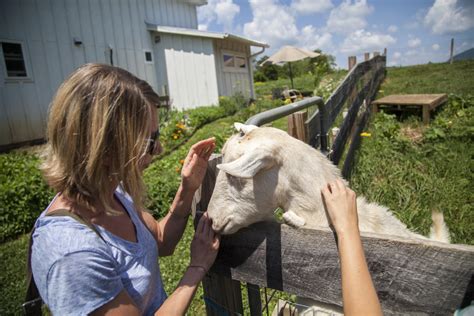 Farms & Farmers Markets | Asheville, NC's Official Travel Site