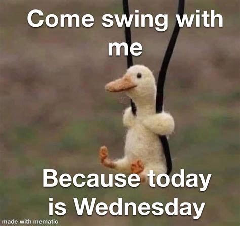 Happy Wednesday : r/memes