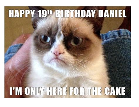 Birthday Meme Cat