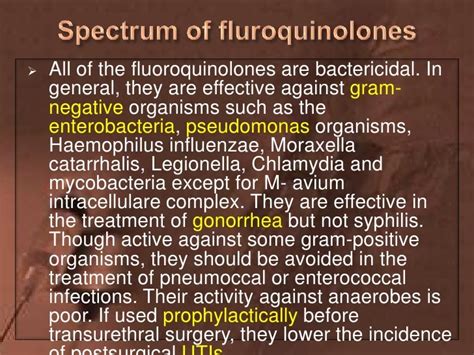 Antibiotics course. 1-Quinolones