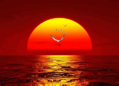 Sunset Click Here http://media.photobucket.com/image/animated%20nature ...