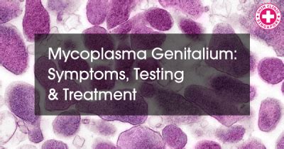 Mycoplasma Genitalium: The symptoms, testing and treatment