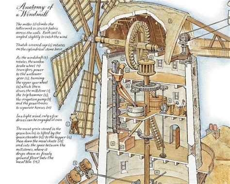 Anatomy of a Windmill [1806 x 1446] - ThingsCutInHalfPorn | Windmill ...