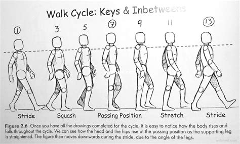 Walk Cycle Animation Walking 5 - Full Image