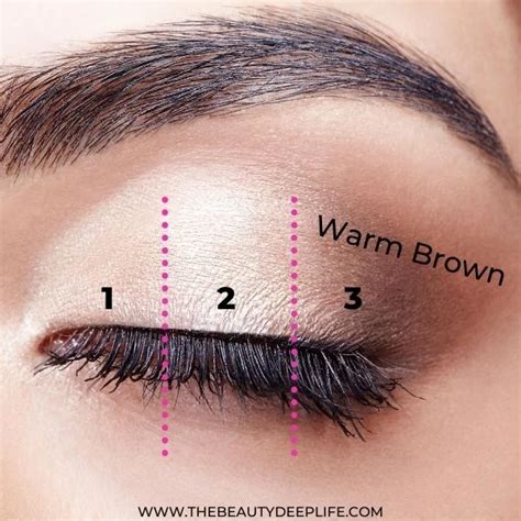 Eye Makeup For Beginners: Step-By-Step Looks You Can Easily Pull Off!!