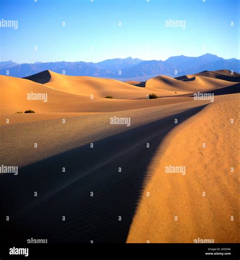 Sand dunes Stovepipe Wells Death Valley California USA Stock Photo - Alamy