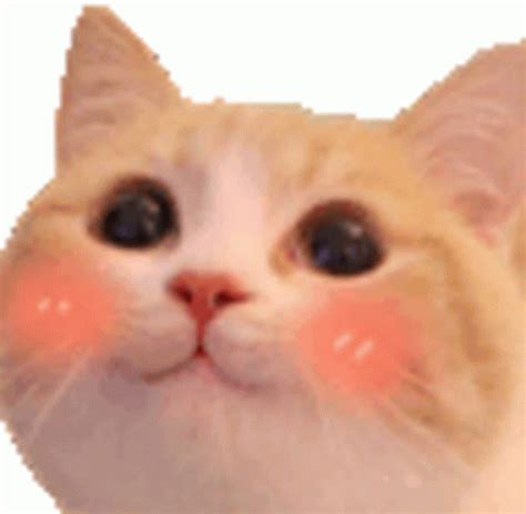 Cat Blush Sticker - Cat Blush - Discover & Share GIFs