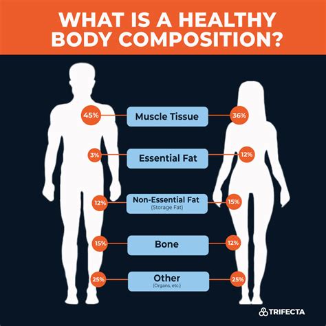 What is Body Composition? And 5 Ways to Measure It