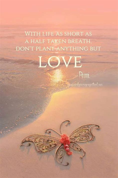 Inspirational Words Love Quotes | Rumi quotes, Rumi love quotes, Rumi