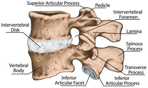 Lumbar Spinal Decompression Treatment