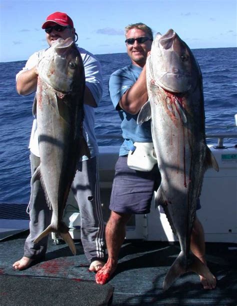 Big Fish on live herring. Spencer Gulf | Fishing - Fishwrecked.com ...