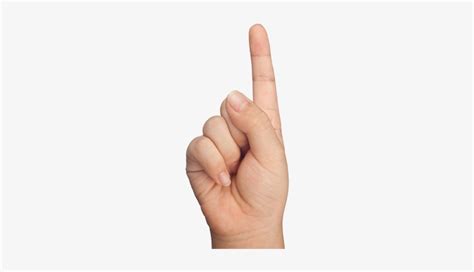 Number 1 Finger Png - 1 Finger Hand Png Transparent PNG - 400x400 ...