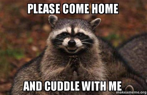 25 Cutest Cuddle Memes - SayingImages.com