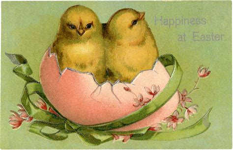 Baby Chicks Easter Clipart