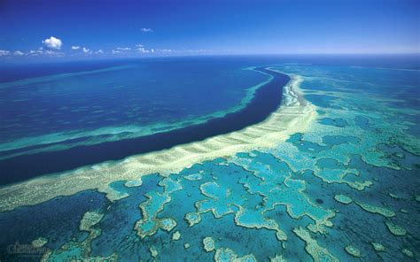 Great Barrier Reef, The Largest Coral Reef Tourism in The World ...