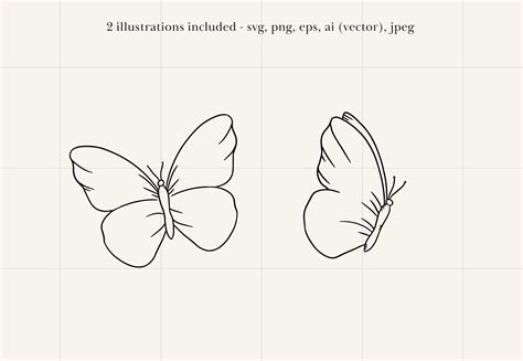 Simple Butterfly Drawings