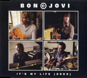 Bon Jovi - It's My Life (2003) (2003, CD) | Discogs