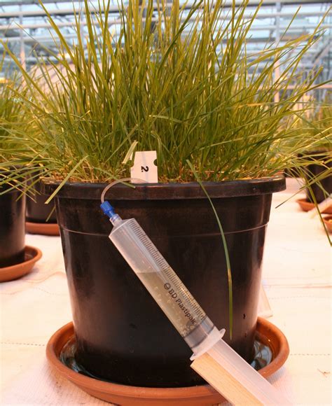 Home | Rhizosphere Research Products