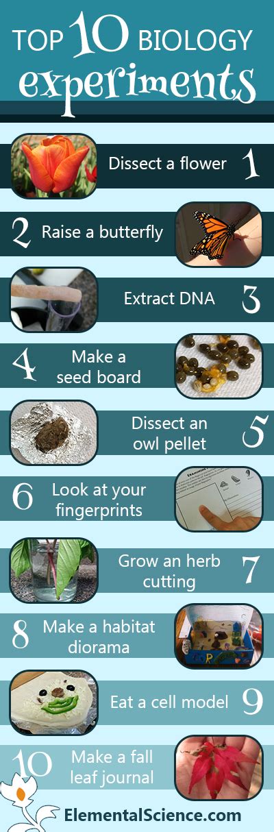 Top 10 Biology Experiments You Don't Want to Miss