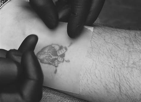 Tattoo Aftercare: How To Take Care of Your Fresh Tattoo ⚚ — MERCH ...