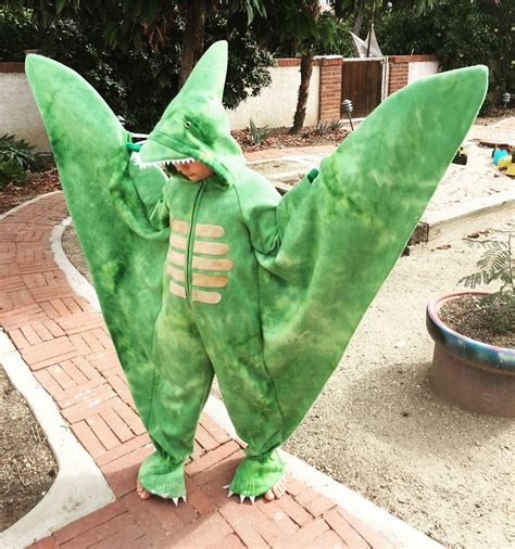 Pterodactyl costume. Flying dinosaur costume. | Dinosaur halloween ...