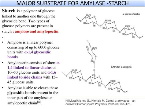 Presentation on Amylase enzyme