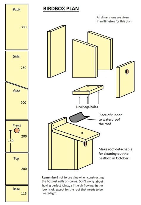 Bird Box | Bird house plans free, Homemade bird houses, Bird house plans