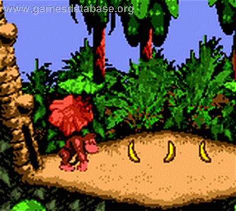 Megtévesztés Lelkész Építeni donkey kong game boy color Minisztérium ...