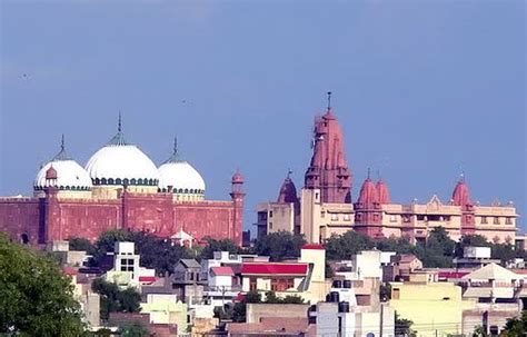 Petition in Mathura court to remove mosque, 'reclaim' Krishna temple land