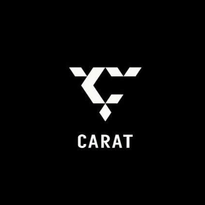 carat logo in 2022 | Fotografi seni, Fotografi