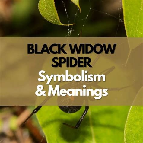 Black Widow Spider: Symbolism, Meanings, and History - Symbol Genie