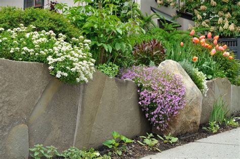 11 Stunning Cascading Plants for Retaining Walls and Hanging Baskets