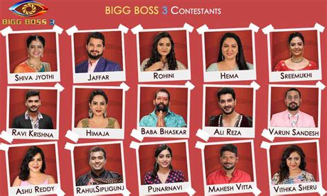 Bigg Boss Telugu Season 3: 15 Contestants and their profiles