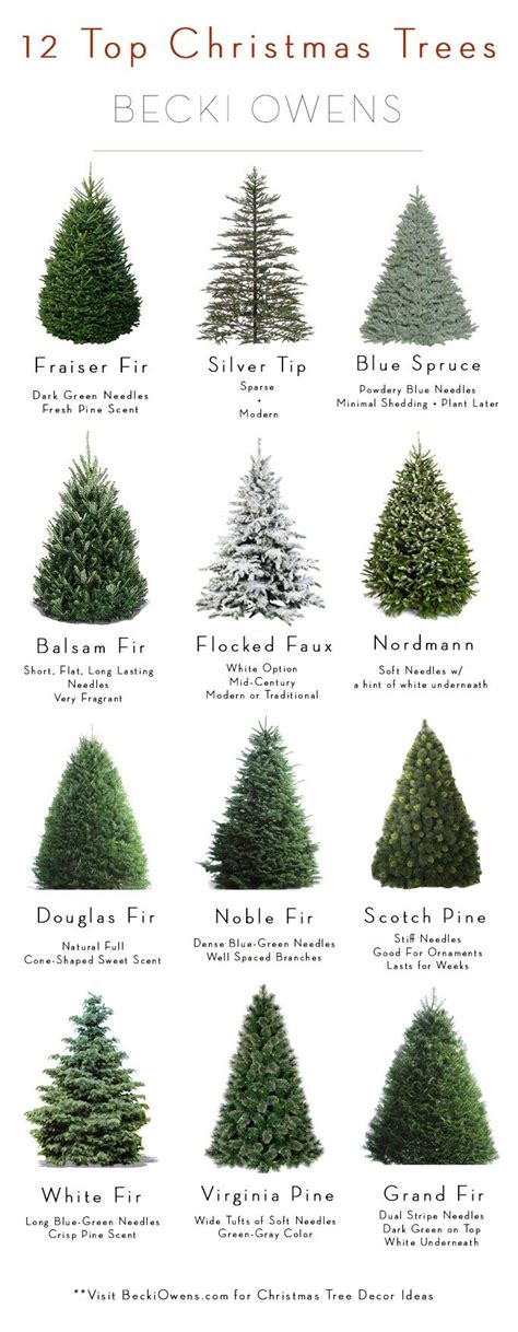 Best of December Pinterest - BECKI OWENS | Christmas tree guide, Types ...