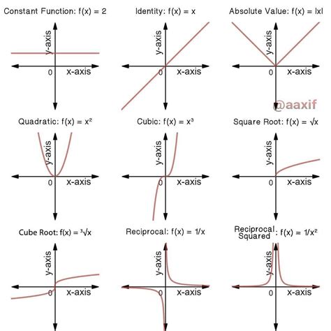 Different Types of Polynomial Function and their Graph | Polynomial ...