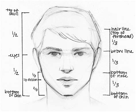 Portrait Drawing Step By Step Guide Drawing Is An Art That Is ...