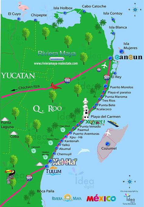 Cancún - Copa Allianz-Gilling | Cancún méxico, Mapa de cancún, Viajes a ...